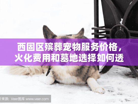 西固区殡葬宠物服务价格，火化费用和墓地选择如何透明化？