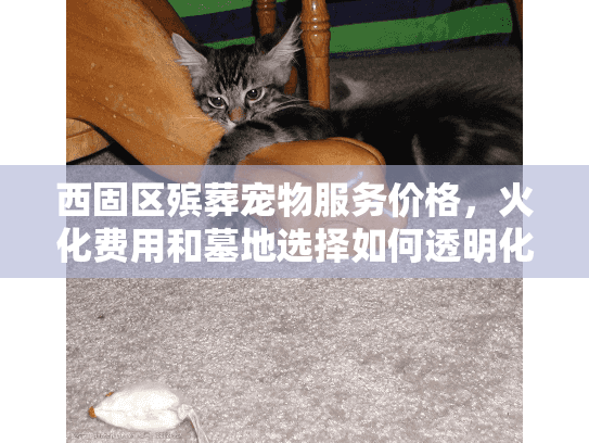 西固区殡葬宠物服务价格，火化费用和墓地选择如何透明化？