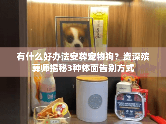有什么好办法安葬宠物狗?资深殡葬师揭秘3种体面告别方式 有什么好办法安葬宠物狗?资深殡葬师揭秘3种体面告别方式