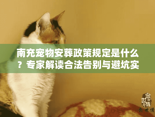 南充宠物安葬政策规定是什么？专家解读合法告别与避坑实策