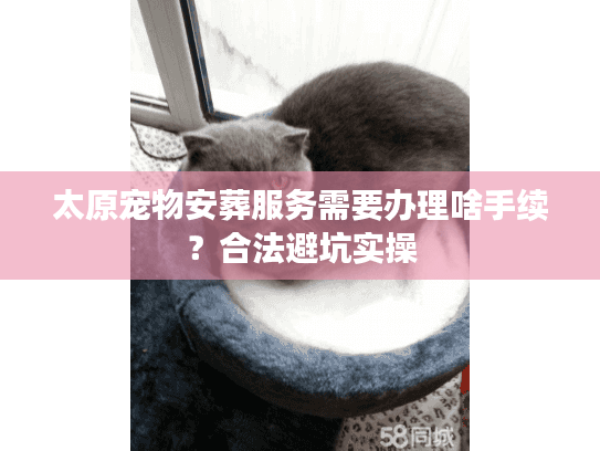 太原宠物安葬服务需要办理啥手续？合法避坑实操