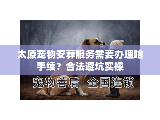 太原宠物安葬服务需要办理啥手续？合法避坑实操