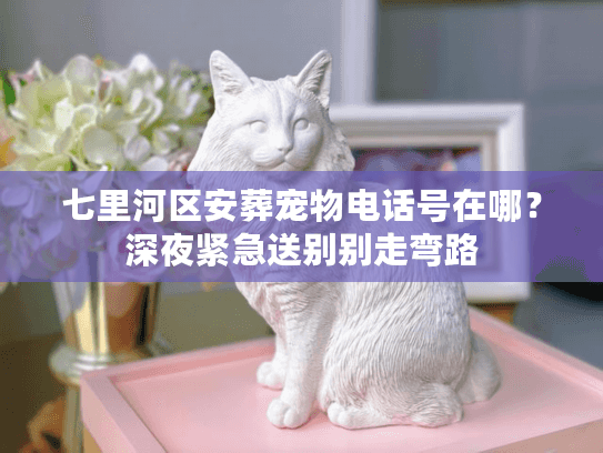 七里河区安葬宠物电话号在哪？深夜紧急送别别走弯路