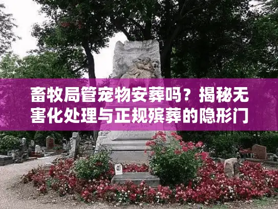 畜牧局管宠物安葬吗？揭秘无害化处理与正规殡葬的隐形门槛