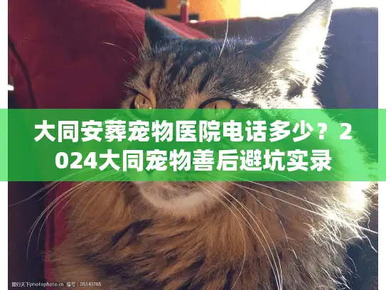大同安葬宠物医院电话多少？2024大同宠物善后避坑实录