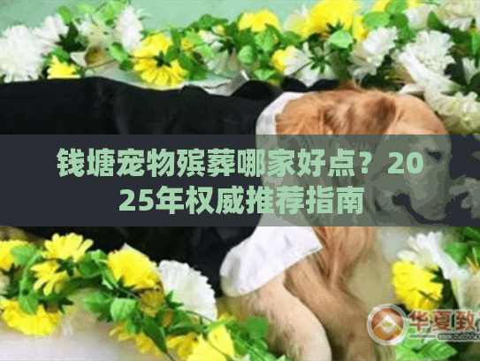 钱塘宠物殡葬哪家好点？2025年权威推荐指南