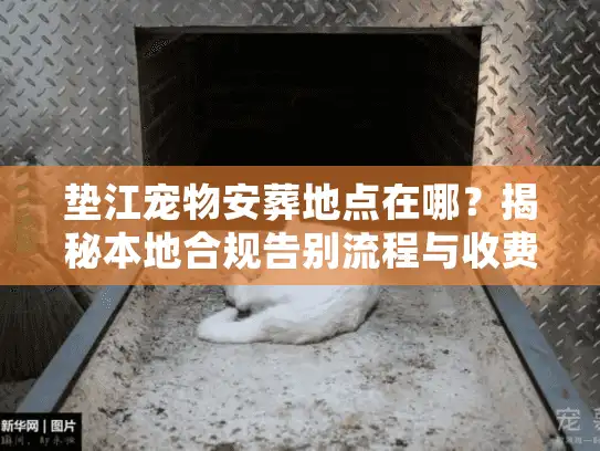 垫江宠物安葬地点在哪？揭秘本地合规告别流程与收费明细