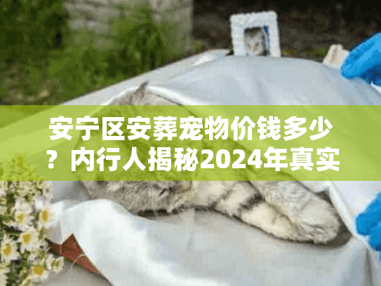 安宁区安葬宠物价钱多少?内行人揭秘2024年真实底价与避坑术 安宁区安葬宠物价钱多少?内行人揭秘2024年真实底价与避坑术