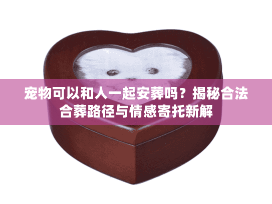 宠物可以和人一起安葬吗？揭秘合法合葬路径与情感寄托新解
