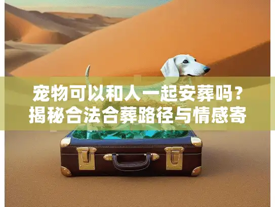 宠物可以和人一起安葬吗？揭秘合法合葬路径与情感寄托新解