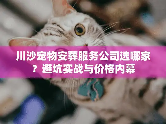 川沙宠物安葬服务公司选哪家?避坑实战与价格内幕 川沙宠物安葬服务公司选哪家?避坑实战与价格内幕