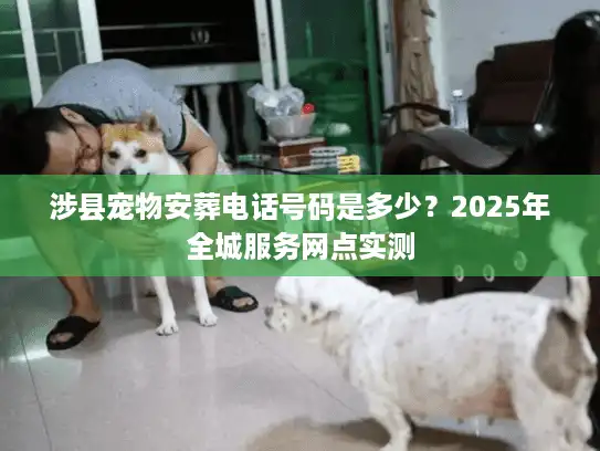涉县宠物安葬电话号码是多少？2025年全城服务网点实测