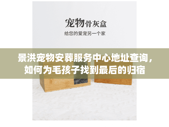 景洪宠物安葬服务中心地址查询，如何为毛孩子找到最后的归宿
