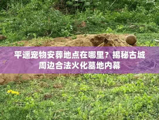 平遥宠物安葬地点在哪里？揭秘古城周边合法火化墓地内幕