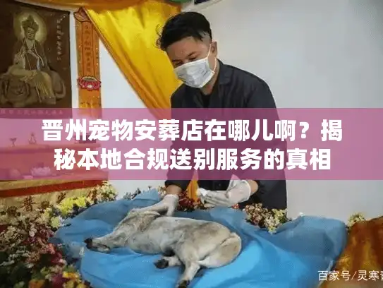 晋州宠物安葬店在哪儿啊？揭秘本地合规送别服务的真相