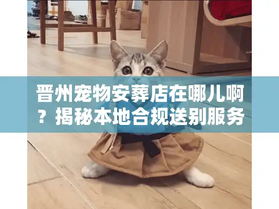 晋州宠物安葬店在哪儿啊？揭秘本地合规送别服务的真相