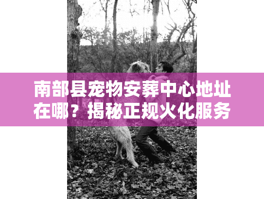南部县宠物安葬中心地址在哪？揭秘正规火化服务的隐秘渠道