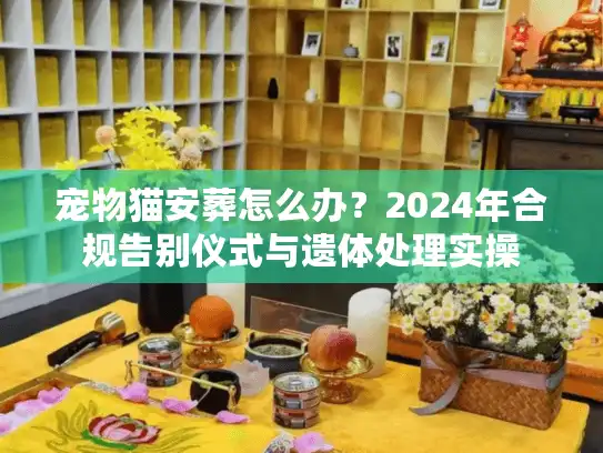 宠物猫安葬怎么办？2024年合规告别仪式与遗体处理实操