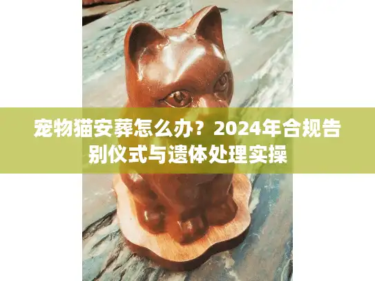 宠物猫安葬怎么办？2024年合规告别仪式与遗体处理实操