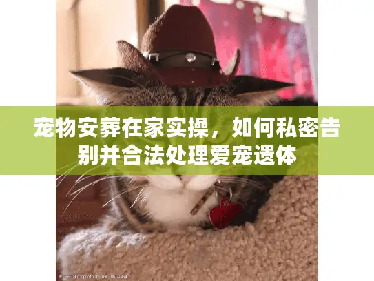 宠物安葬在家实操，如何私密告别并合法处理爱宠遗体