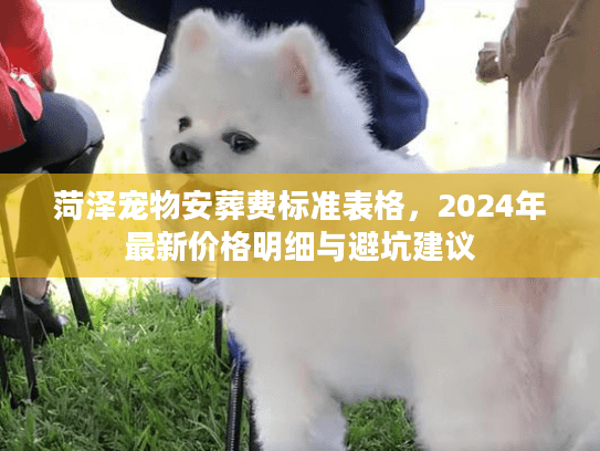 菏泽宠物安葬费标准表格,2024年最新价格明细与避坑建议 菏泽宠物安葬费标准表格,2024年最新价格明细与避坑建议