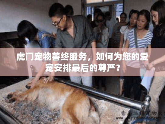 虎门宠物善终服务，如何为您的爱宠安排最后的尊严？
