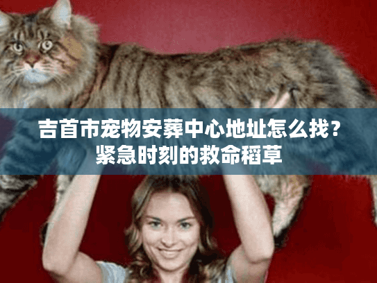 吉首市宠物安葬中心地址怎么找？紧急时刻的救命稻草