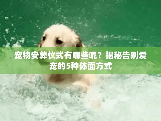 宠物安葬仪式有哪些呢？揭秘告别爱宠的5种体面方式