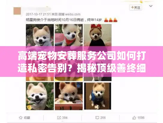 高端宠物安葬服务公司如何打造私密告别?揭秘顶级善终细节 高端宠物安葬服务公司如何打造私密告别?揭秘顶级善终细节