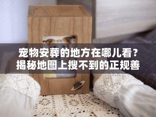 宠物安葬的地方在哪儿看？揭秘地图上搜不到的正规善终渠道