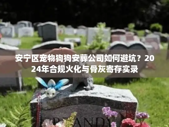 安宁区宠物狗狗安葬公司如何避坑？2024年合规火化与骨灰寄存实录