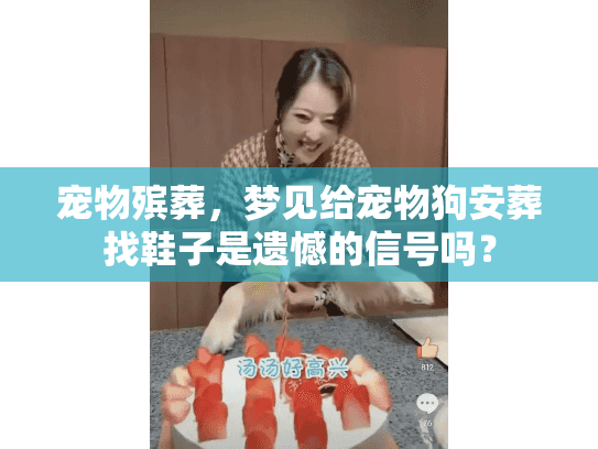 宠物殡葬,梦见给宠物狗安葬找鞋子是遗憾的信号吗? 宠物殡葬,梦见给宠物狗安葬找鞋子是遗憾的信号吗?