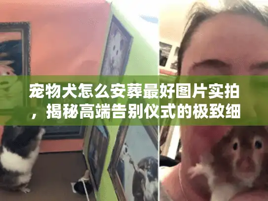 宠物犬怎么安葬最好图片实拍，揭秘高端告别仪式的极致细节