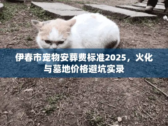 伊春市宠物安葬费标准2025，火化与墓地价格避坑实录
