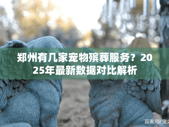 郑州有几家宠物殡葬服务？2025年最新数据对比解析