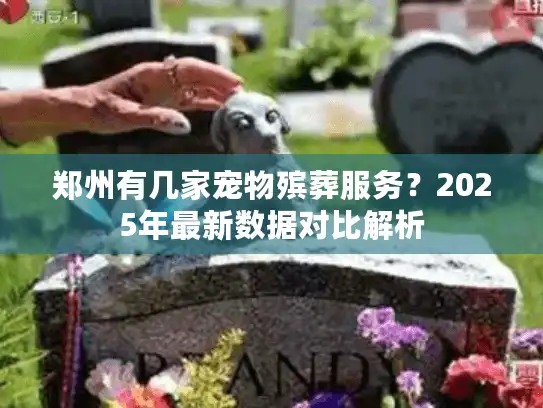 郑州有几家宠物殡葬服务？2025年最新数据对比解析