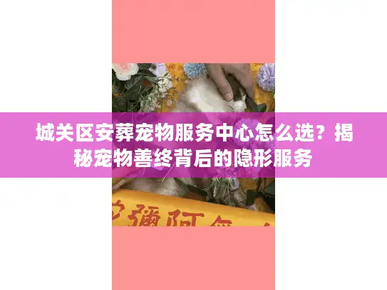 城关区安葬宠物服务中心怎么选？揭秘宠物善终背后的隐形服务