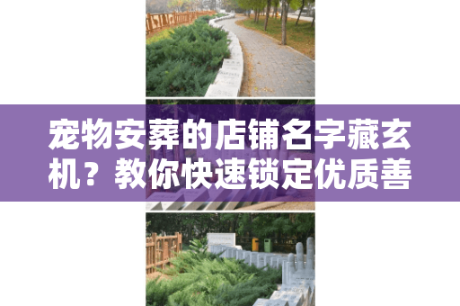 宠物安葬的店铺名字藏玄机？教你快速锁定优质善终服务