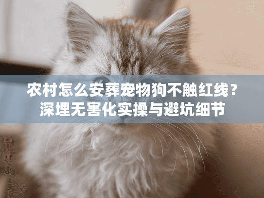 农村怎么安葬宠物狗不触红线？深埋无害化实操与避坑细节