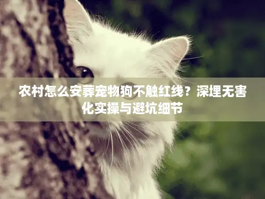 农村怎么安葬宠物狗不触红线？深埋无害化实操与避坑细节