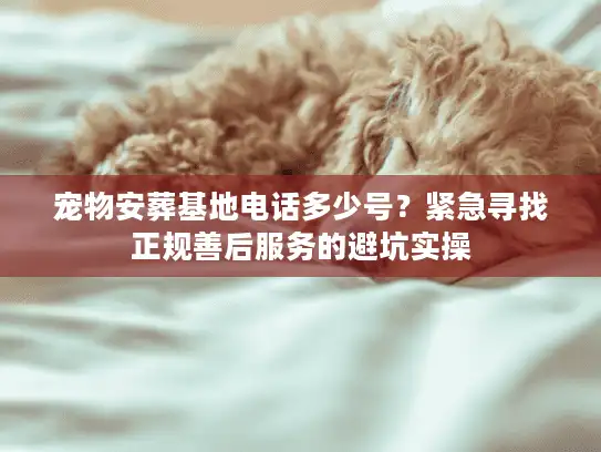 宠物安葬基地电话多少号？紧急寻找正规善后服务的避坑实操