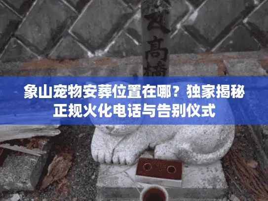 象山宠物安葬位置在哪？独家揭秘正规火化电话与告别仪式