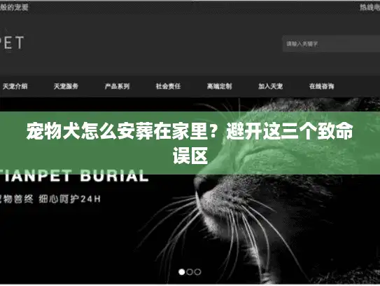 宠物犬怎么安葬在家里？避开这三个致命误区