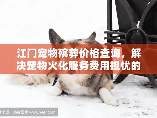 江门宠物殡葬价格查询，解决宠物火化服务费用担忧的实用指南