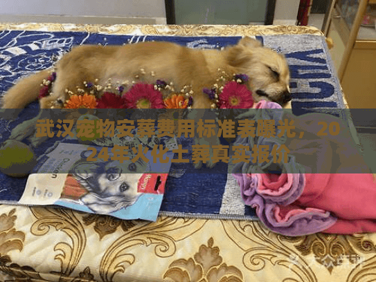 武汉宠物安葬费用标准表曝光，2024年火化土葬真实报价