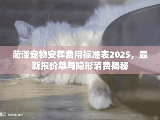 菏泽宠物安葬费用标准表2025，最新报价单与隐形消费揭秘