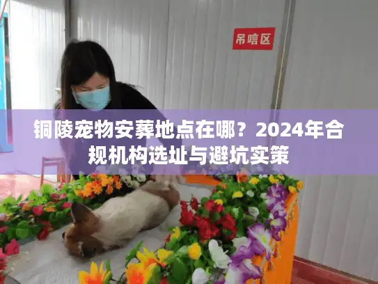 铜陵宠物安葬地点在哪？2024年合规机构选址与避坑实策