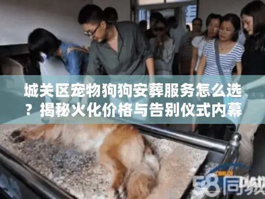 城关区宠物狗狗安葬服务怎么选？揭秘火化价格与告别仪式内幕