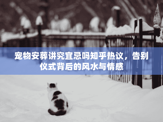 宠物安葬讲究宜忌吗知乎热议，告别仪式背后的风水与情感