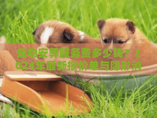 宠物安葬服务费多少钱？2024年最新报价单与隐形消费大起底